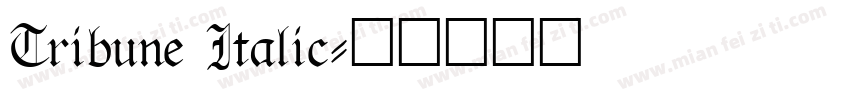 Tribune Italic字体转换